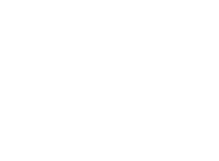 Golden Premier 2